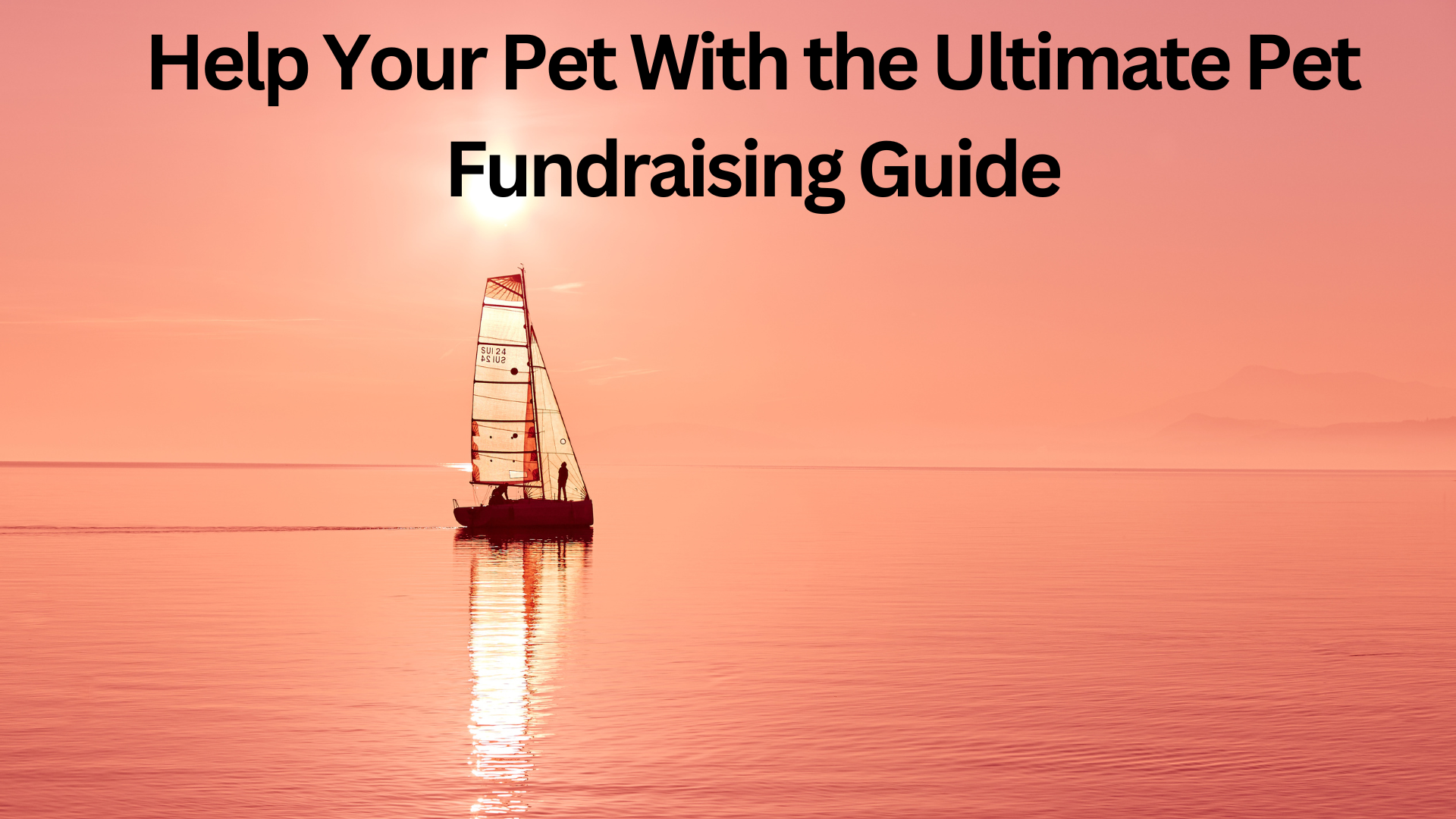 Help Your Pet With the Ultimate Pet Fundraising Guide
