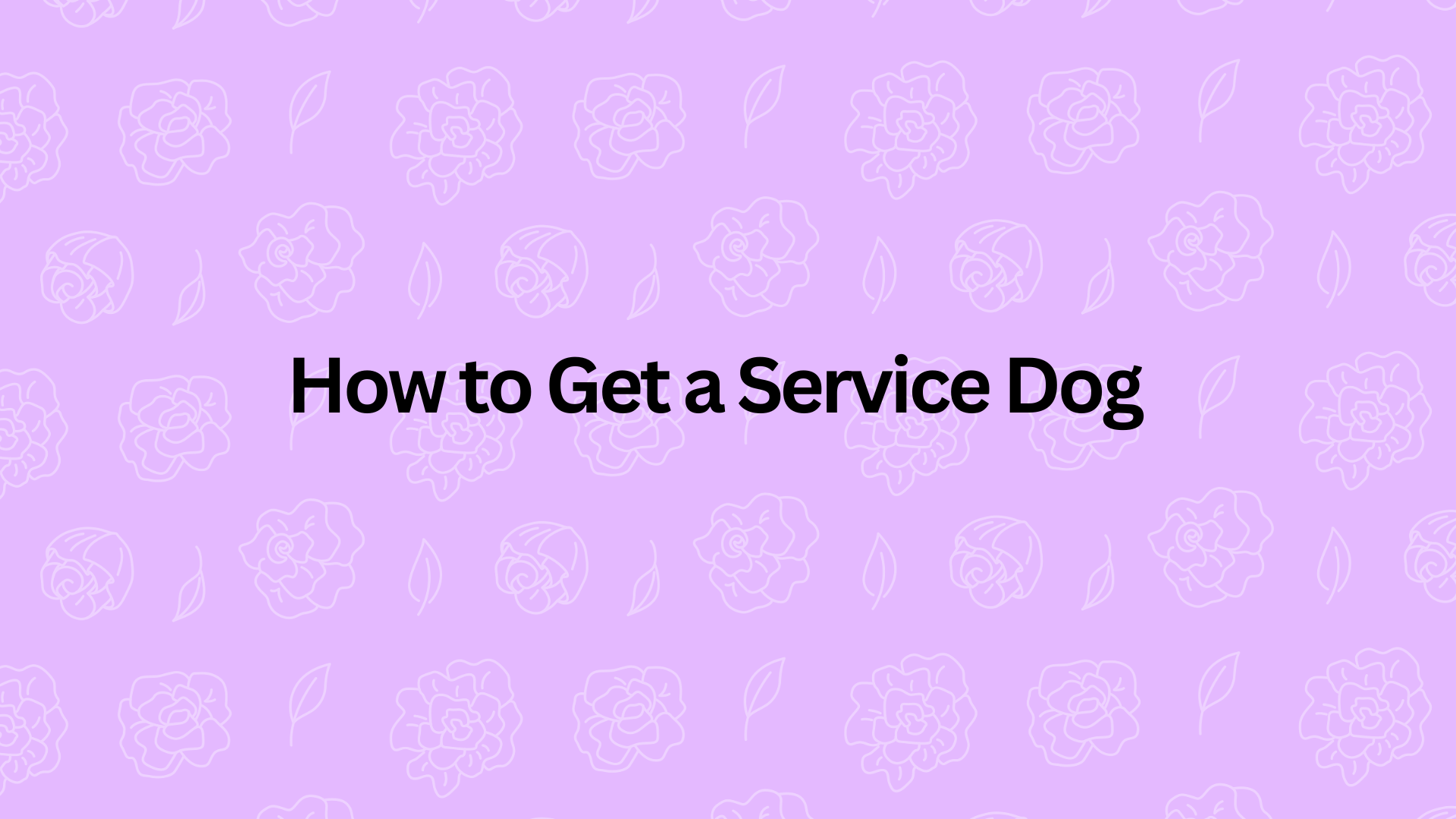 How to Get a Service Dog