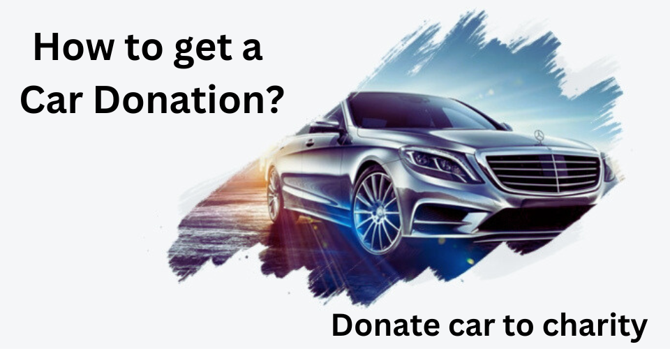 donate cat to charity car donation