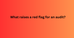 What raises a red flag for an audit?